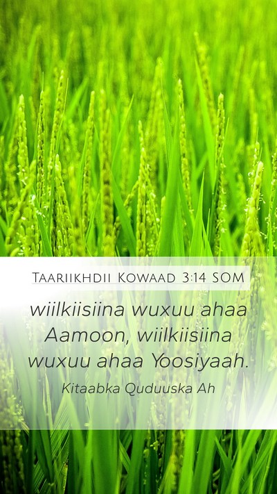 Taariikhdii Kowaad 3:14 SOM Bible Verse Image