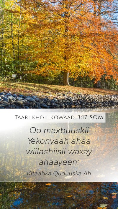 Taariikhdii Kowaad 3:17 SOM Bible Verse Image