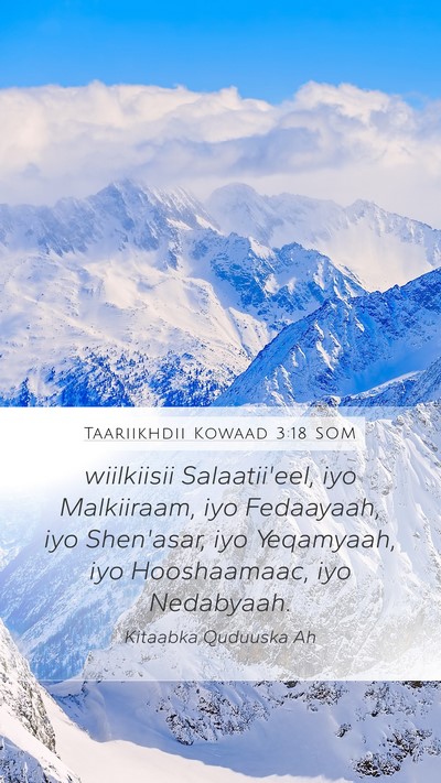 Taariikhdii Kowaad 3:18 SOM Bible Verse Image