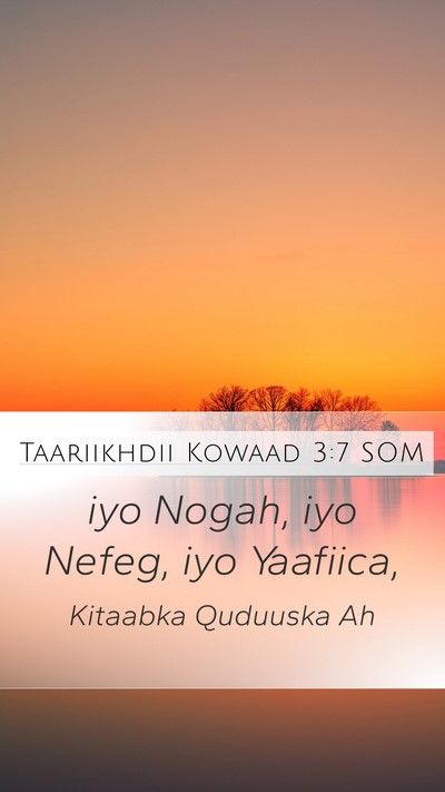 Taariikhdii Kowaad 3:7 SOM Mobile Phone Wallpaper - iyo Nogah, iyo Nefeg, iyo - Mobile Bible Verse Wallpaper