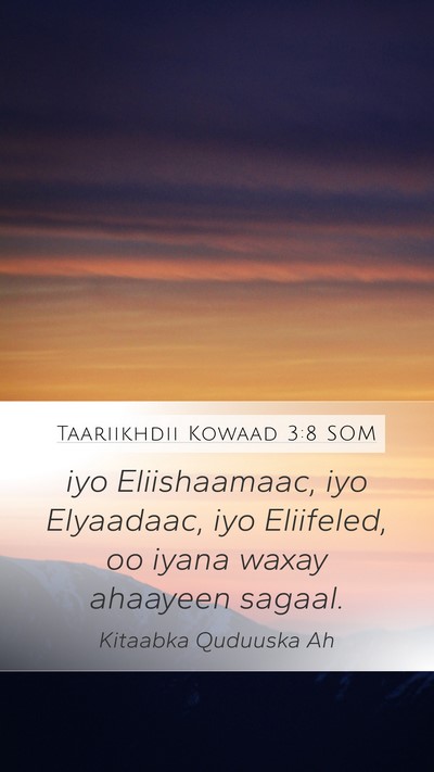 Taariikhdii Kowaad 3:8 SOM Bible Verse Image