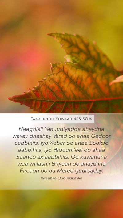 Taariikhdii Kowaad 4:18 SOM Bible Verse Image