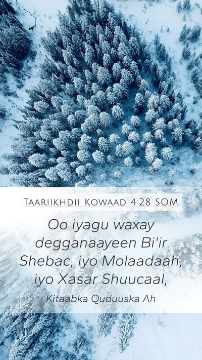 Taariikhdii Kowaad 4:28 SOM Bible Verse Image