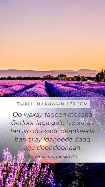 Taariikhdii Kowaad 4:39 SOM Bible Verse Image