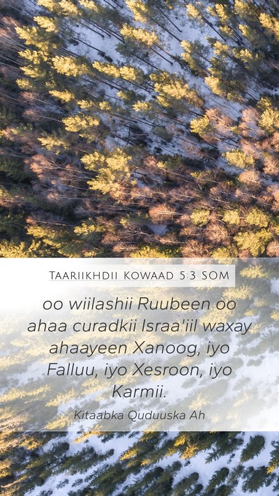 Taariikhdii Kowaad 5:3 SOM Bible Verse Image