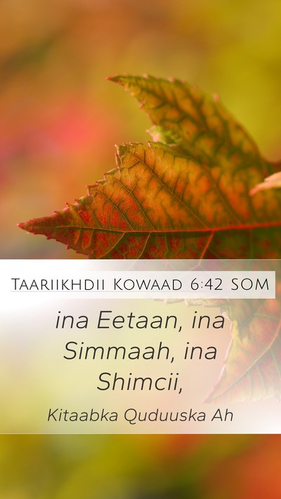 Taariikhdii Kowaad 6:42 SOM Mobile Phone Wallpaper - ina Eetaan, ina Simmaah, ina - Mobile Bible Verse Wallpaper