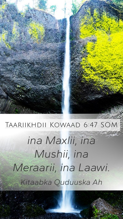 Taariikhdii Kowaad 6:47 SOM Bible Verse Image