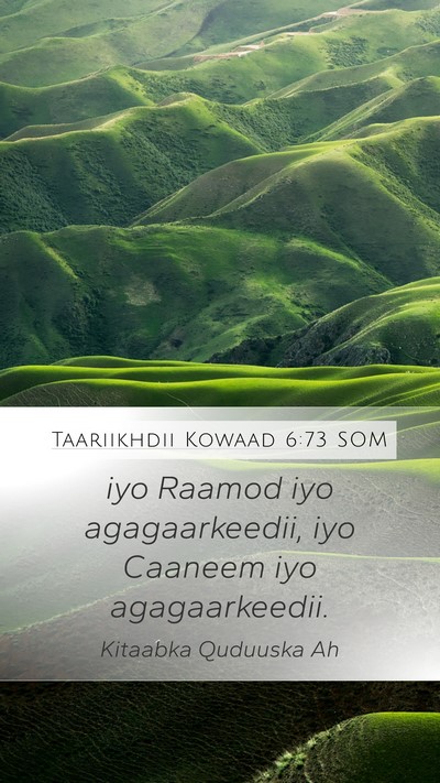 Taariikhdii Kowaad 6:73 SOM Bible Verse Image