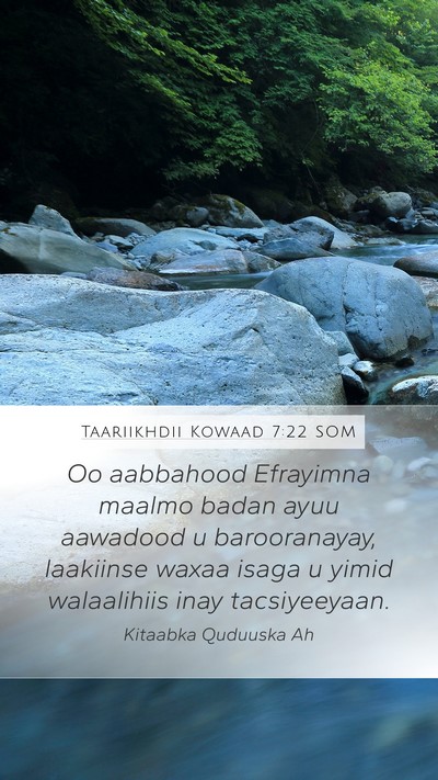 Taariikhdii Kowaad 7:22 SOM Mobile Phone Wallpaper - Oo aabbahood Efrayimna maalmo badan ayuu aawadood - Mobile Bible Verse Wallpaper