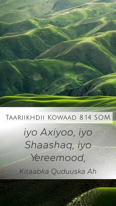 Taariikhdii Kowaad 8:14 SOM Mobile Phone Wallpaper - iyo Axiyoo, iyo Shaashaq, iyo - Mobile Bible Verse Wallpaper