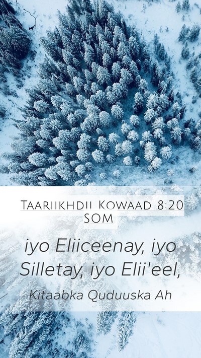 Taariikhdii Kowaad 8:20 SOM Mobile Phone Wallpaper - iyo Eliiceenay, iyo Silletay, iyo - Mobile Bible Verse Wallpaper