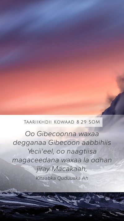 Taariikhdii Kowaad 8:29 SOM Bible Verse Image