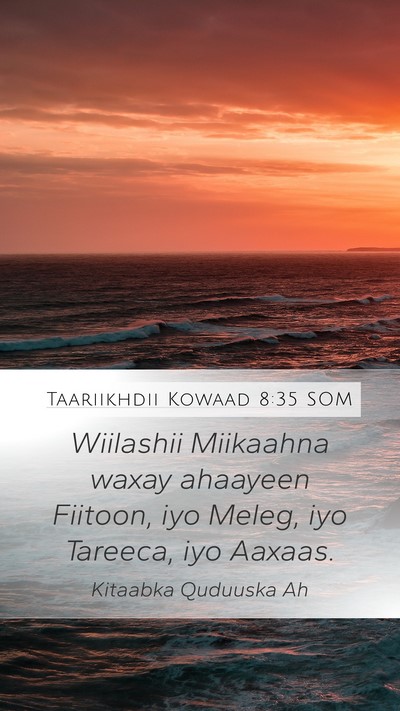 Taariikhdii Kowaad 8:35 SOM Mobile Phone Wallpaper - Wiilashii Miikaahna waxay ahaayeen Fiitoon, iyo - Mobile Bible Verse Wallpaper