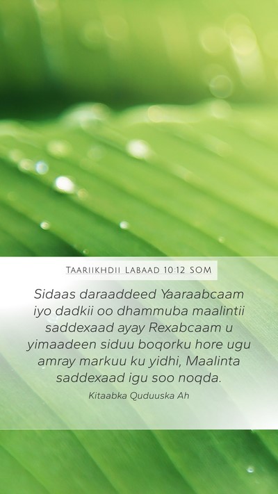 Taariikhdii Labaad 10:12 SOM Bible Verse Image