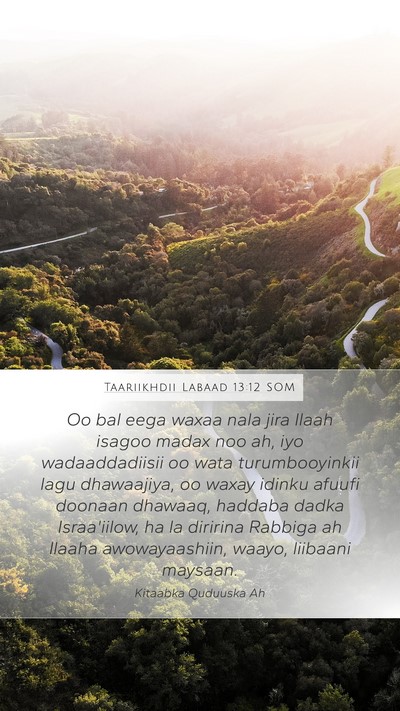 Taariikhdii Labaad 13:12 SOM Bible Verse Image