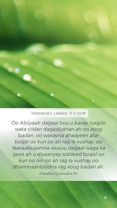 Taariikhdii Labaad 13:3 SOM Bible Verse Image