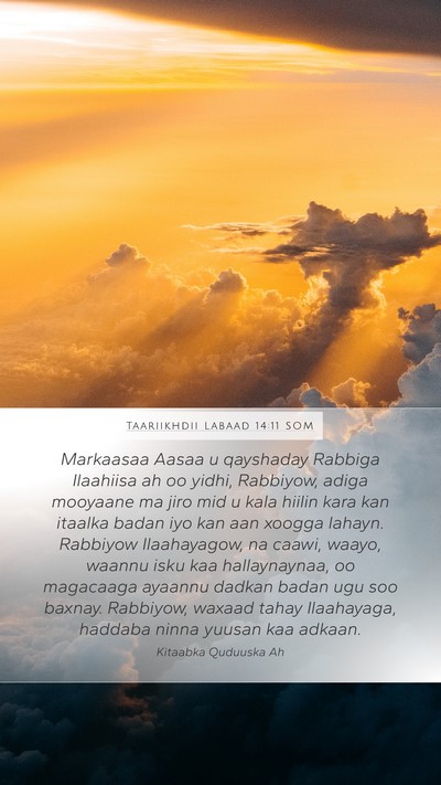 Taariikhdii Labaad 14:11 SOM Bible Verse Image