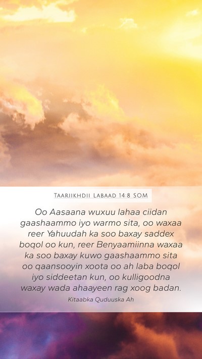 Taariikhdii Labaad 14:8 SOM Bible Verse Image