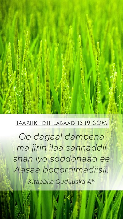 Taariikhdii Labaad 15:19 SOM Mobile Phone Wallpaper - Oo dagaal dambena ma jirin ilaa sannaddii shan - Mobile Bible Verse Wallpaper