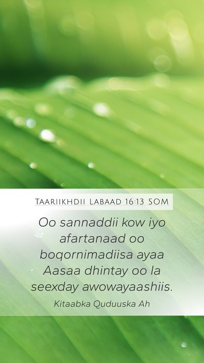 Taariikhdii Labaad 16:13 SOM Mobile Phone Wallpaper - Oo sannaddii kow iyo afartanaad oo boqornimadiisa - Mobile Bible Verse Wallpaper