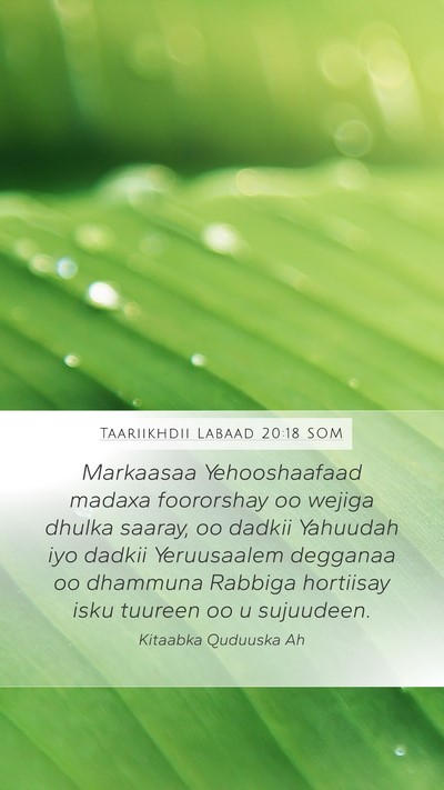 Taariikhdii Labaad 20:18 SOM Bible Verse Image