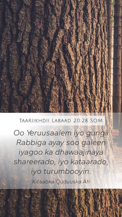 Taariikhdii Labaad 20:28 SOM Mobile Phone Wallpaper - Oo Yeruusaalem iyo gurigii Rabbiga ayay soo - Mobile Bible Verse Wallpaper