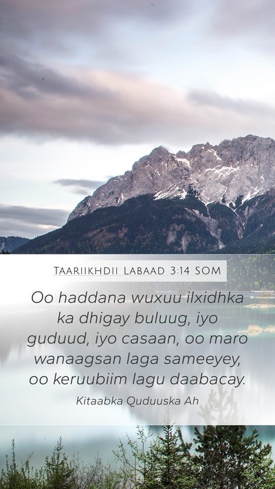 Taariikhdii Labaad 3:14 SOM Bible Verse Image