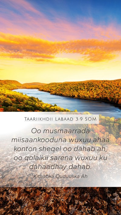 Taariikhdii Labaad 3:9 SOM Mobile Phone Wallpaper - Oo musmaarrada miisaankooduna wuxuu ahaa konton - Mobile Bible Verse Wallpaper