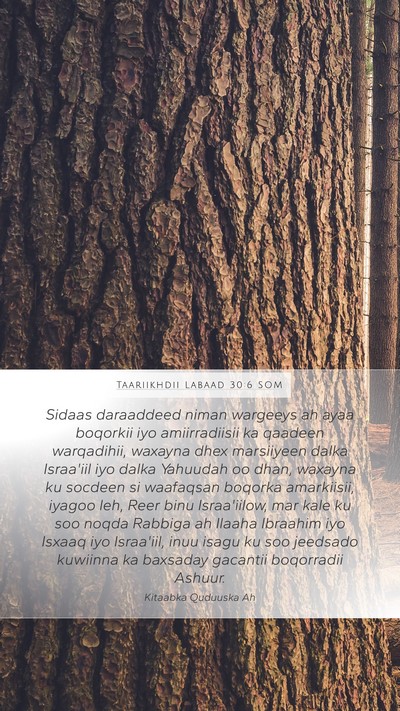 Taariikhdii Labaad 30:6 SOM Bible Verse Image