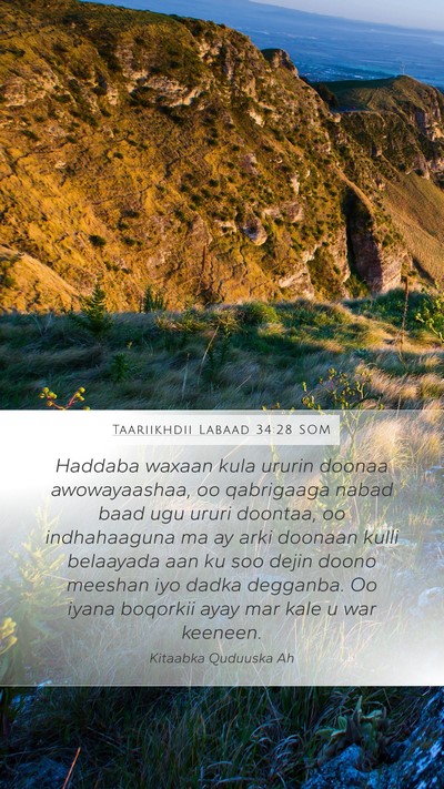 Taariikhdii Labaad 34:28 SOM Bible Verse Image