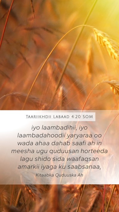 Taariikhdii Labaad 4:20 SOM Bible Verse Image