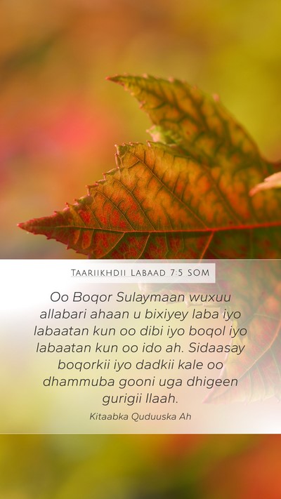 Taariikhdii Labaad 7:5 SOM Bible Verse Image