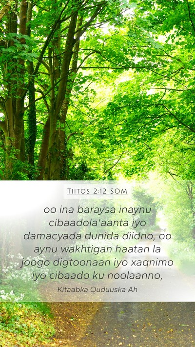 Tiitos 2:12 SOM Bible Verse Image