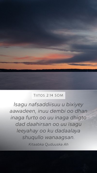 Tiitos 2:14 SOM Bible Verse Image