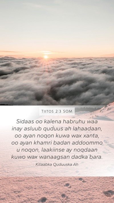 Tiitos 2:3 SOM Bible Verse Image