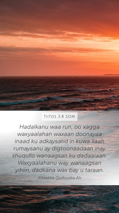 Tiitos 3:8 SOM Bible Verse Image