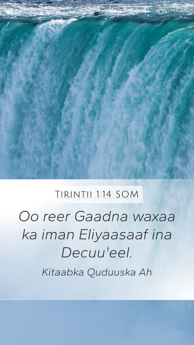 Tirintii 1:14 SOM Bible Verse Image