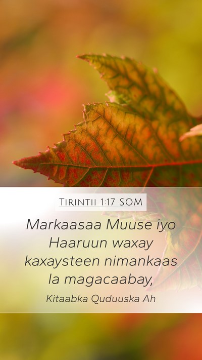 Tirintii 1:17 SOM Mobile Phone Wallpaper - Markaasaa Muuse iyo Haaruun waxay kaxaysteen - Mobile Bible Verse Wallpaper