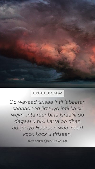 Tirintii 1:3 SOM Mobile Phone Wallpaper - Oo waxaad tirisaa intii labaatan sannadood jirta - Mobile Bible Verse Wallpaper