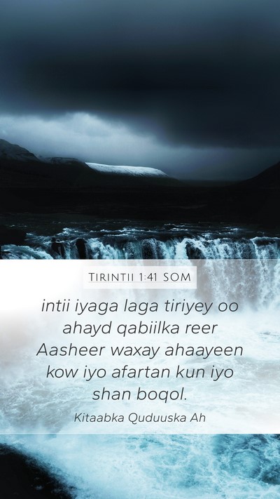Tirintii 1:41 SOM Bible Verse Image