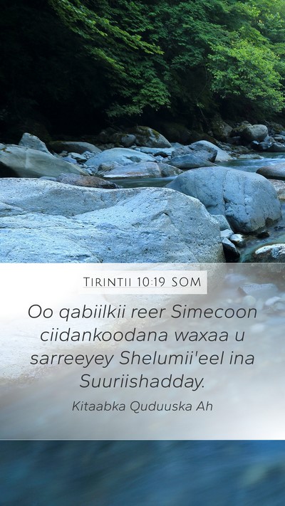 Tirintii 10:19 SOM Mobile Phone Wallpaper - Oo qabiilkii reer Simecoon ciidankoodana waxaa u - Mobile Bible Verse Wallpaper