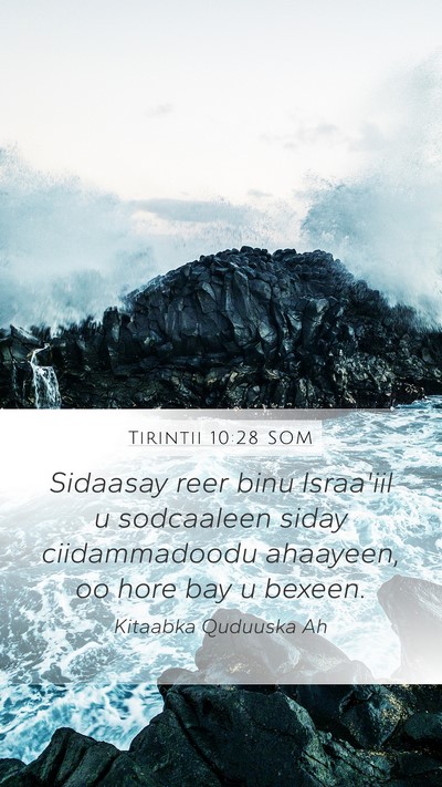Tirintii 10:28 SOM Bible Verse Image