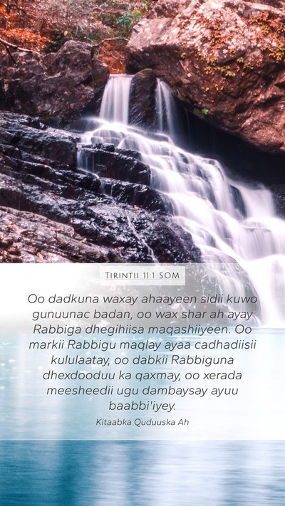 Tirintii 11:1 SOM Bible Verse Image