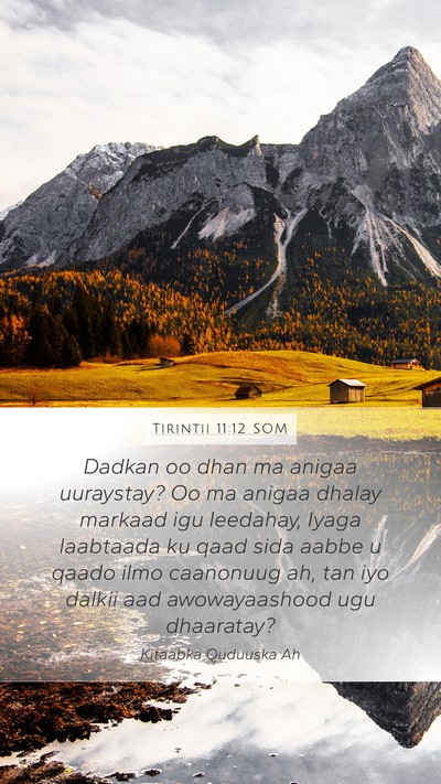 Tirintii 11:12 SOM Bible Verse Image