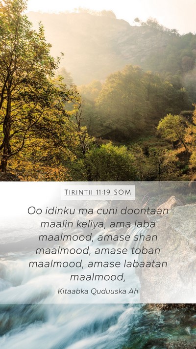 Tirintii 11:19 SOM Mobile Phone Wallpaper - Oo idinku ma cuni doontaan maalin keliya, ama - Mobile Bible Verse Wallpaper
