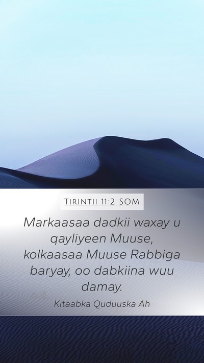 Tirintii 11:2 SOM Mobile Phone Wallpaper - Markaasaa dadkii waxay u qayliyeen Muuse, - Mobile Bible Verse Wallpaper