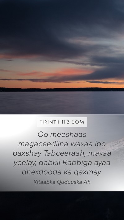 Tirintii 11:3 SOM Mobile Phone Wallpaper - Oo meeshaas magaceediina waxaa loo baxshay - Mobile Bible Verse Wallpaper