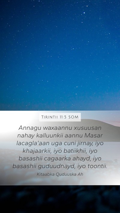 Tirintii 11:5 SOM Bible Verse Image