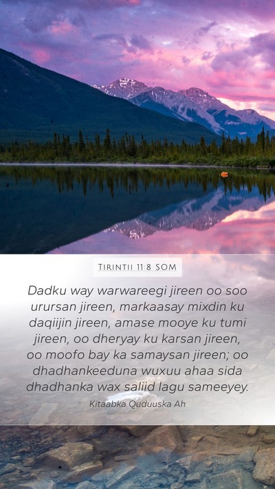 Tirintii 11:8 SOM Bible Verse Image