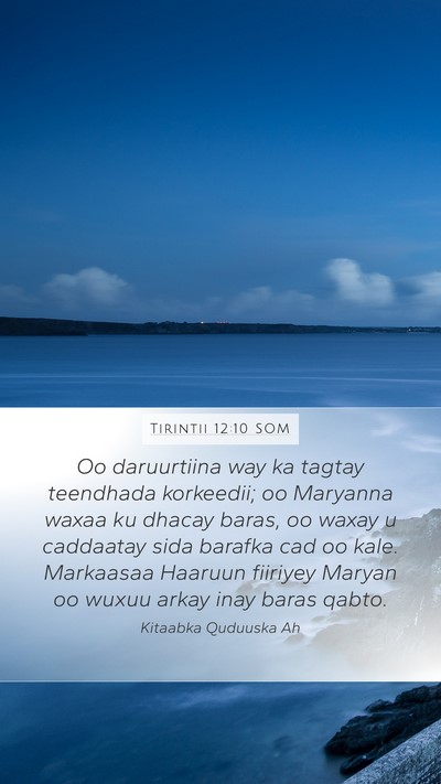 Tirintii 12:10 SOM Bible Verse Image